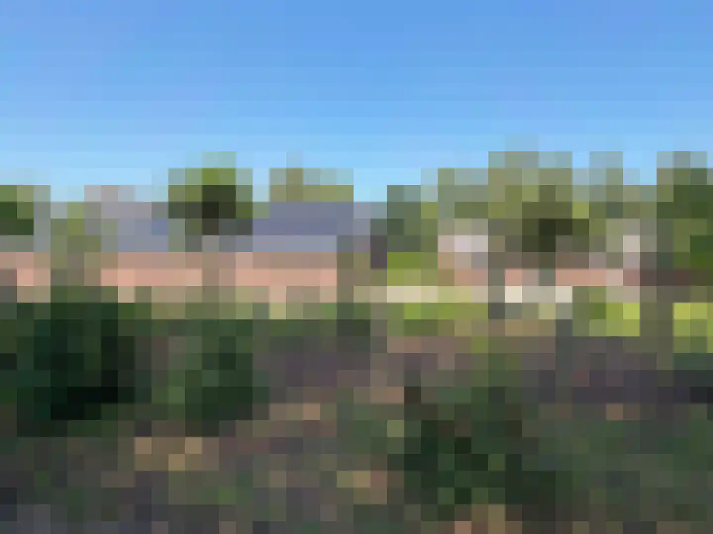 Hakenbosch 3 Dalerveen thumbnail 18