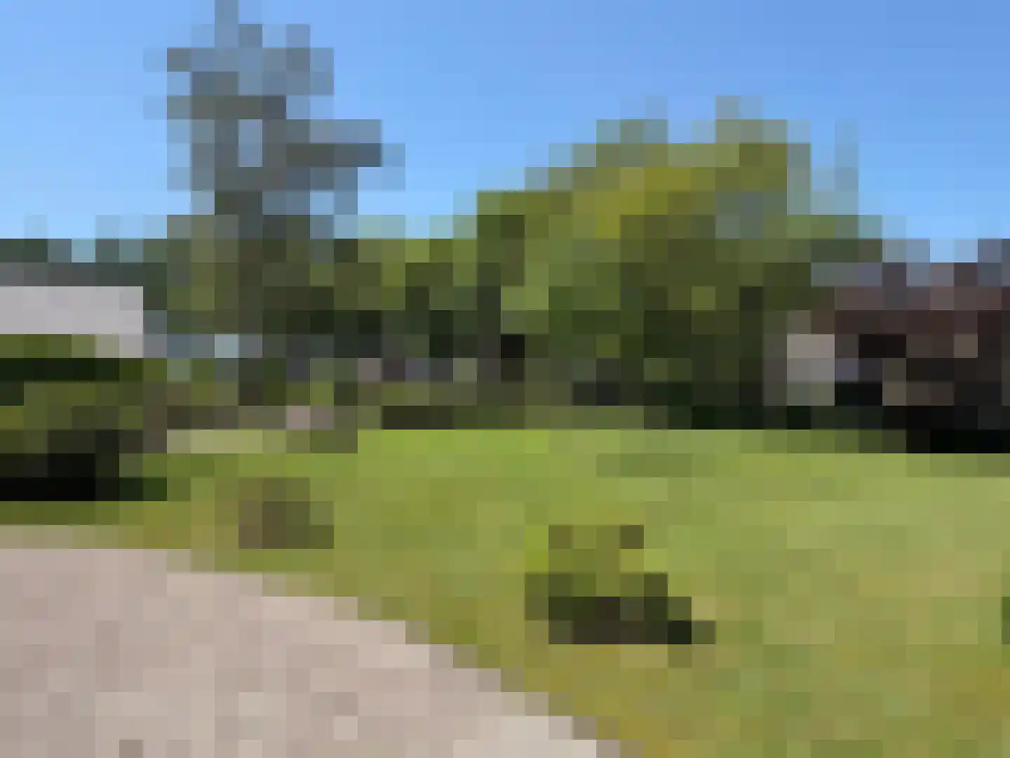 Hakenbosch 3 Dalerveen thumbnail 20
