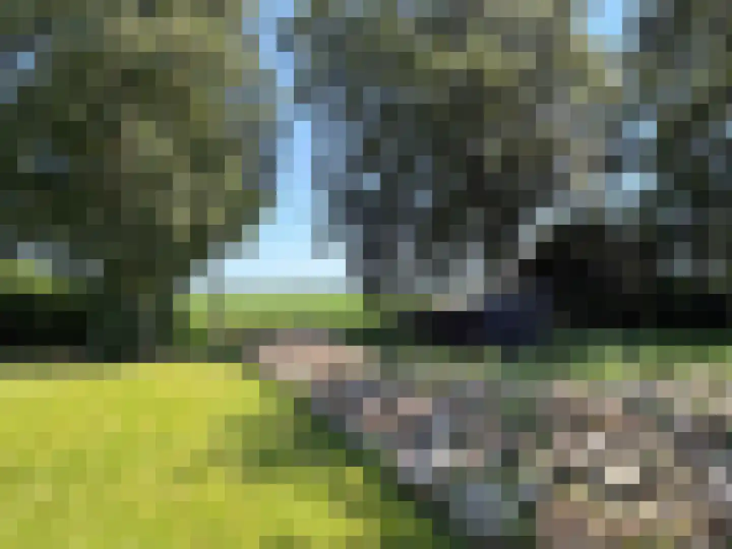 Hakenbosch 3 Dalerveen thumbnail 21