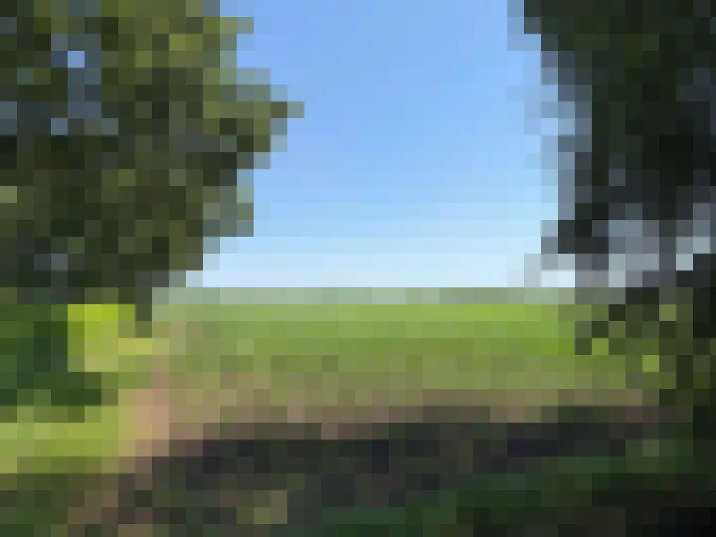 Hakenbosch 3 Dalerveen thumbnail 22