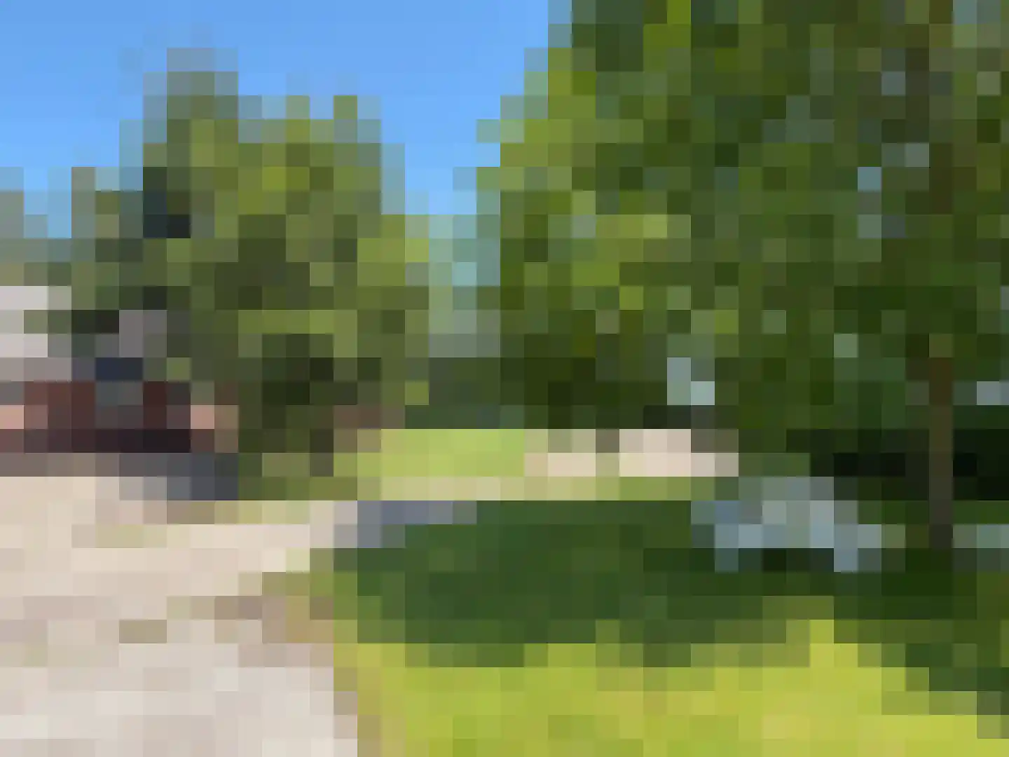 Hakenbosch 3 Dalerveen thumbnail 25