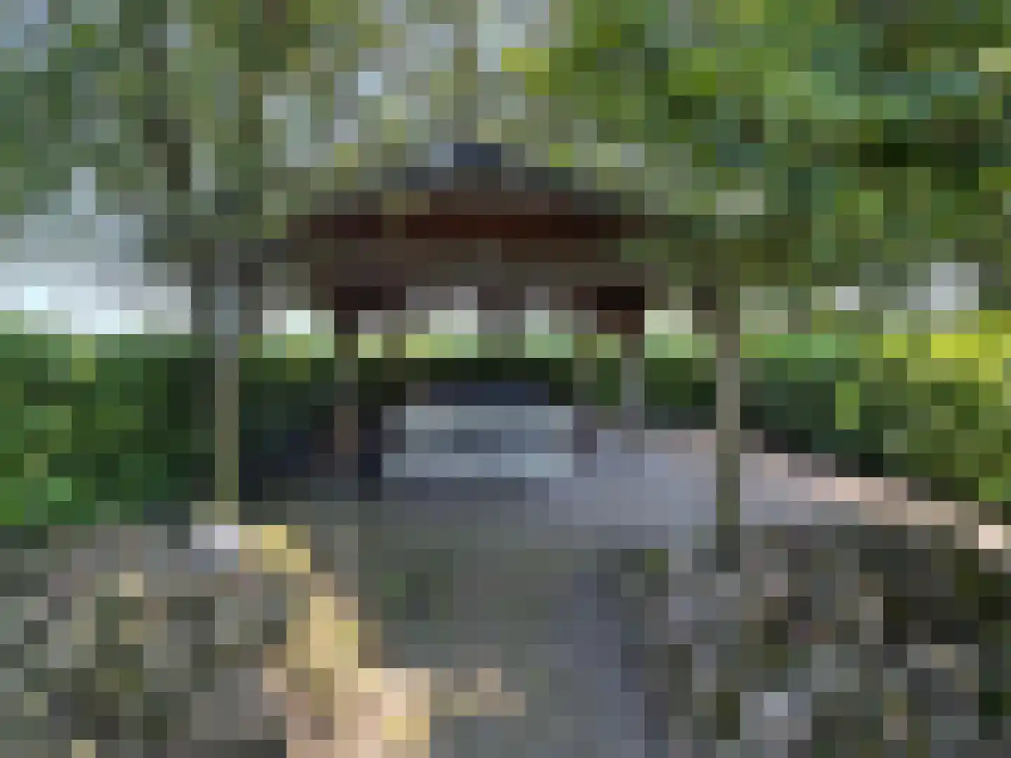 Hakenbosch 3 Dalerveen thumbnail 26
