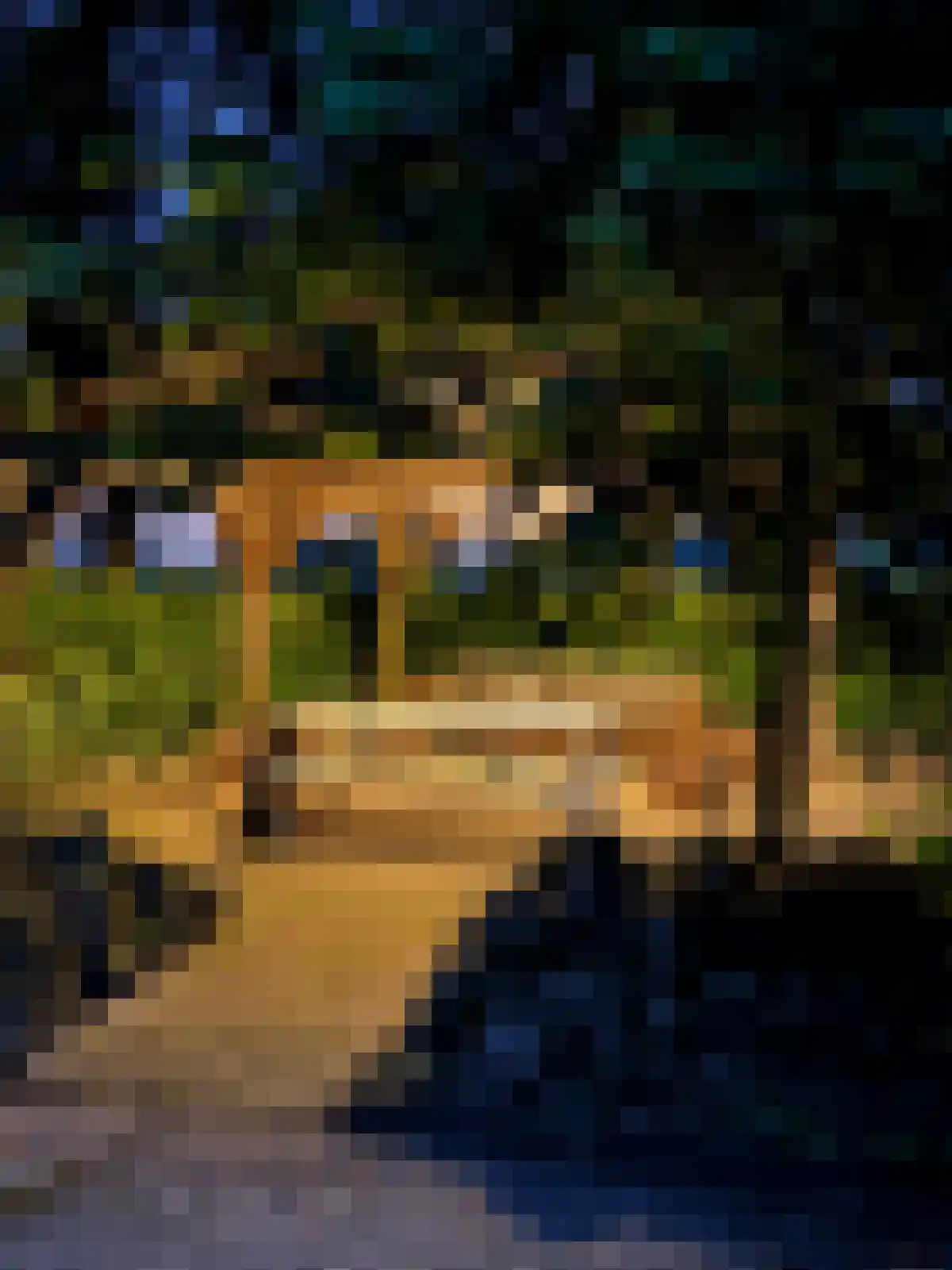 Hakenbosch 3 Dalerveen thumbnail 27