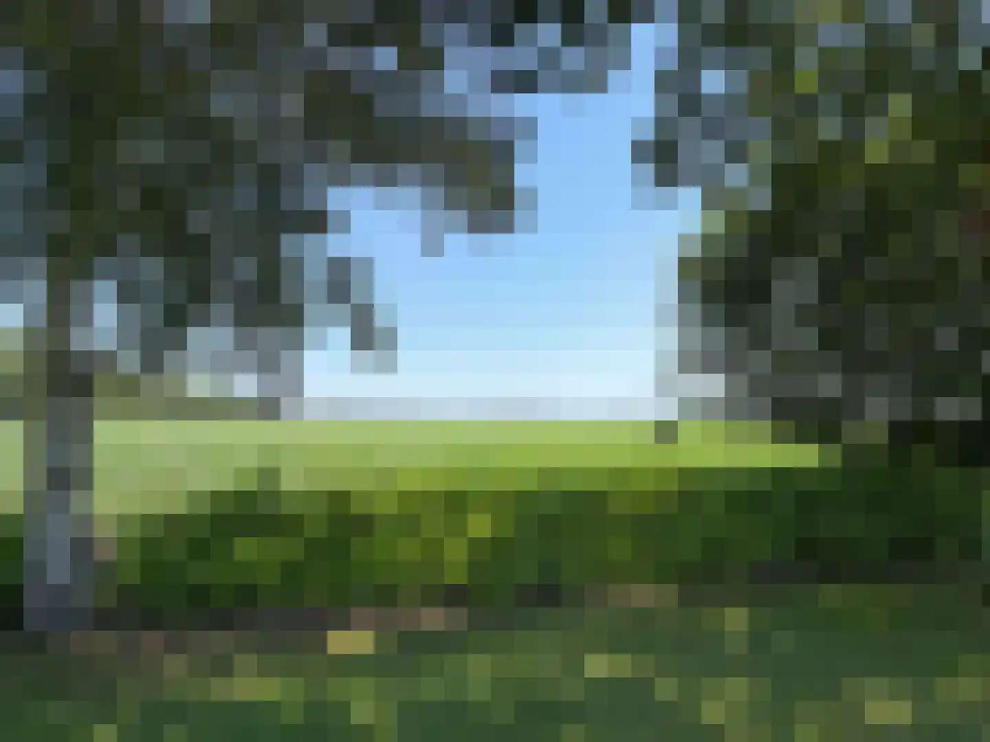 Hakenbosch 3 Dalerveen thumbnail 57