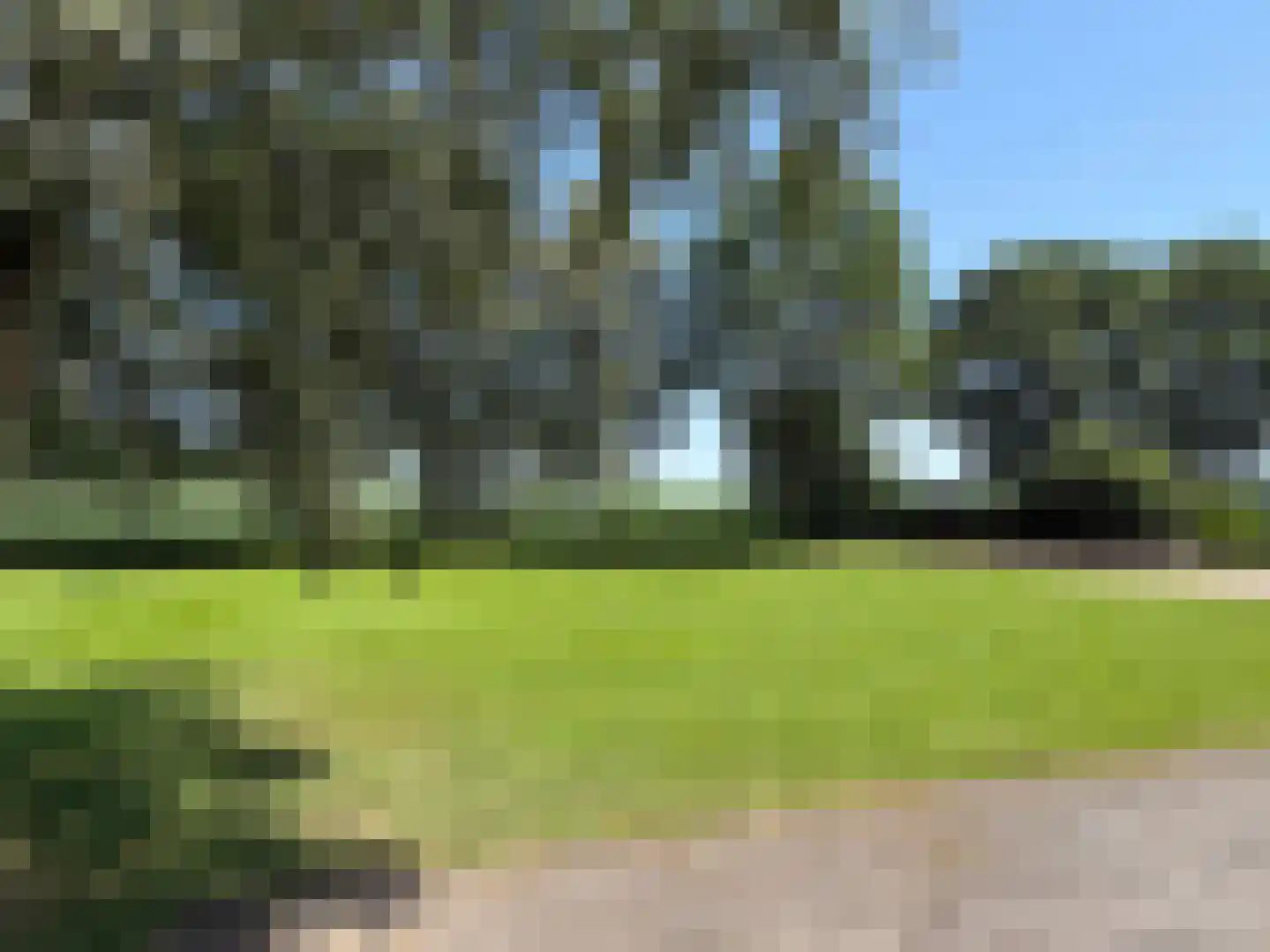 Hakenbosch 3 Dalerveen thumbnail 58