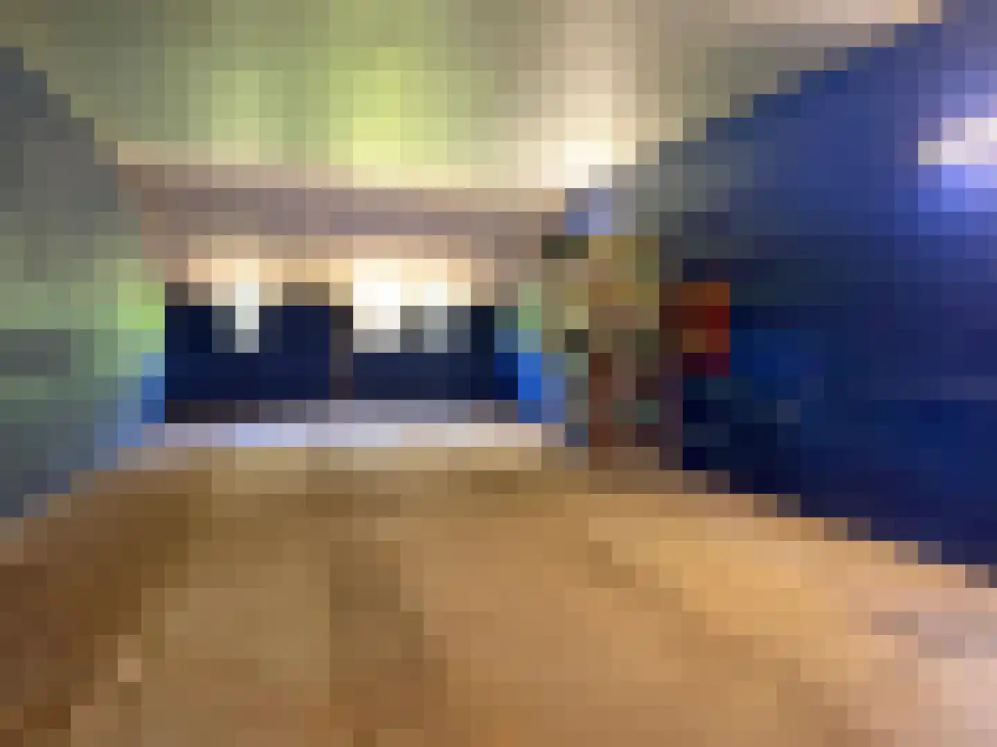 Hakenbosch 3 Dalerveen thumbnail 71