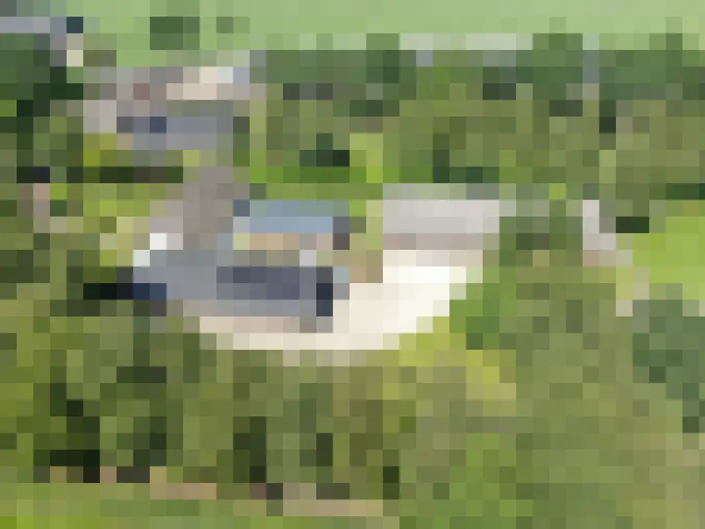 Hakenbosch 3 Dalerveen thumbnail 75