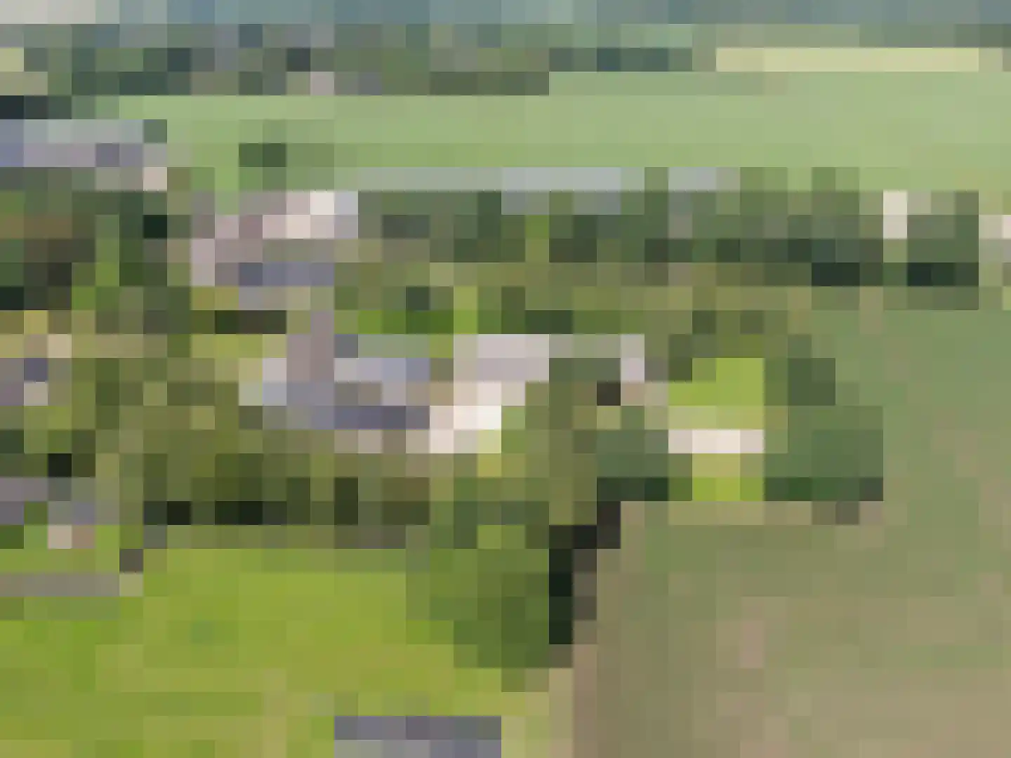 Hakenbosch 3 Dalerveen thumbnail 77
