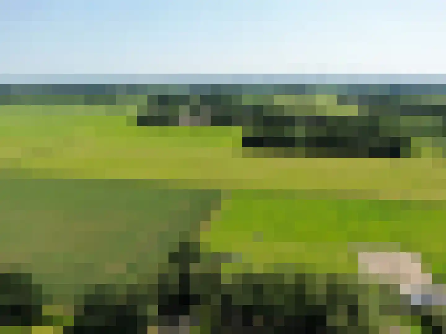 Hakenbosch 3 Dalerveen thumbnail 79