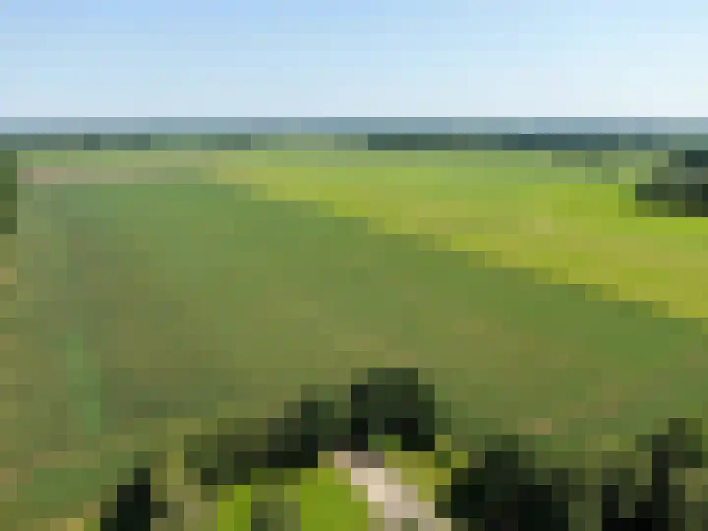 Hakenbosch 3 Dalerveen thumbnail 81