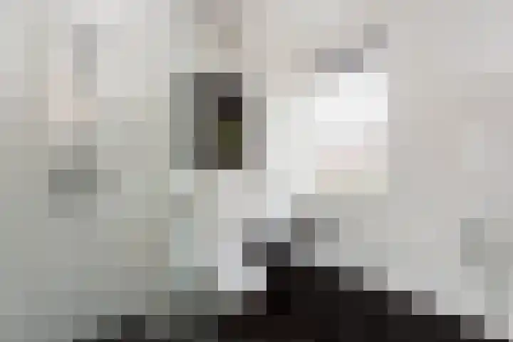 Hakendoverstraat 29 Tilburg thumbnail 25