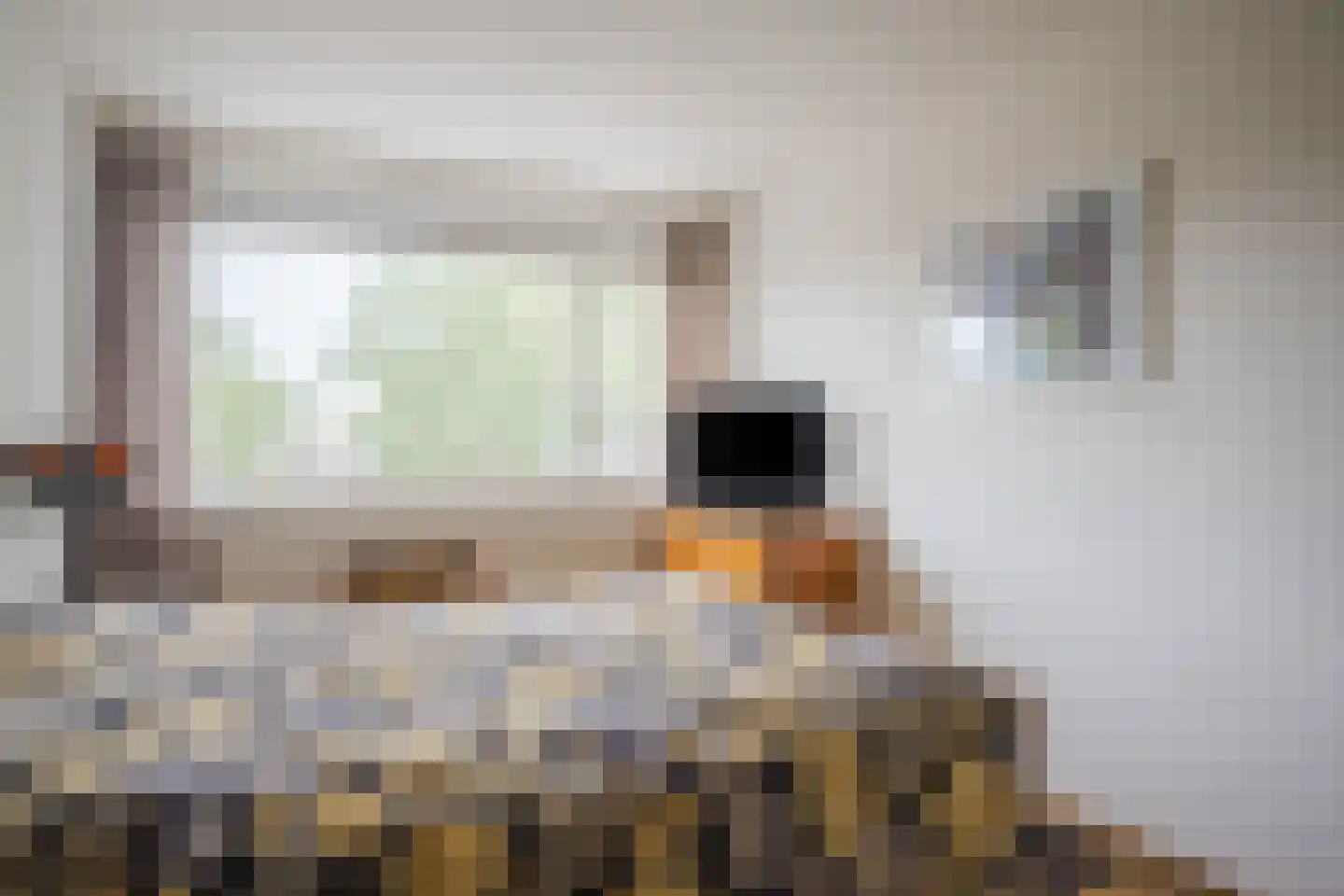 Hakfortlaan 28 2 Arnhem thumbnail 27