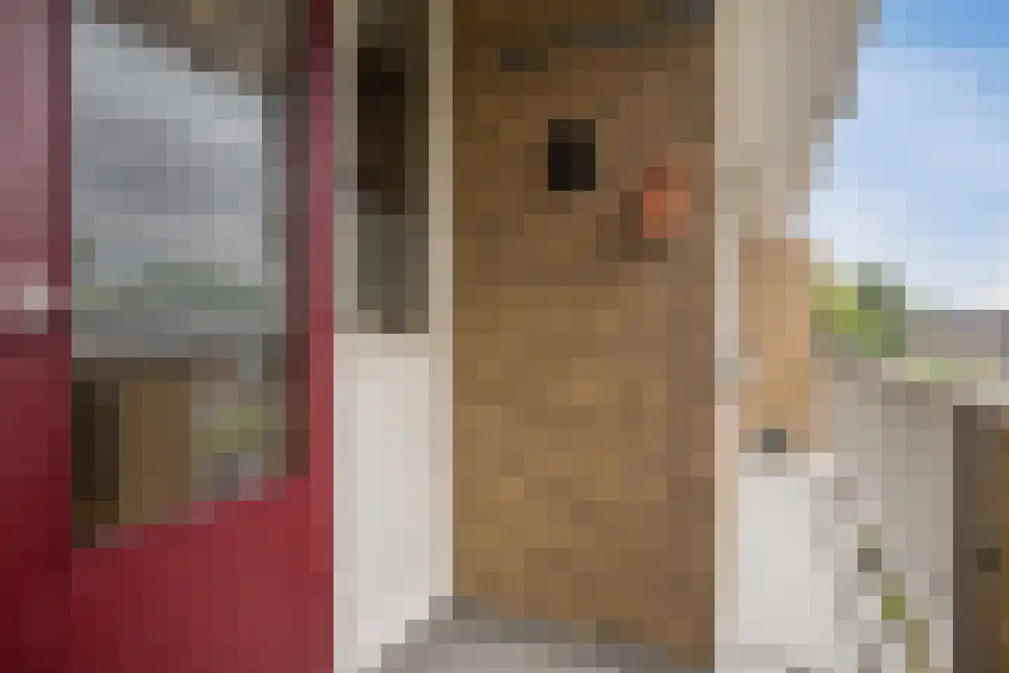 Hakfortlaan 28 2 Arnhem thumbnail 32