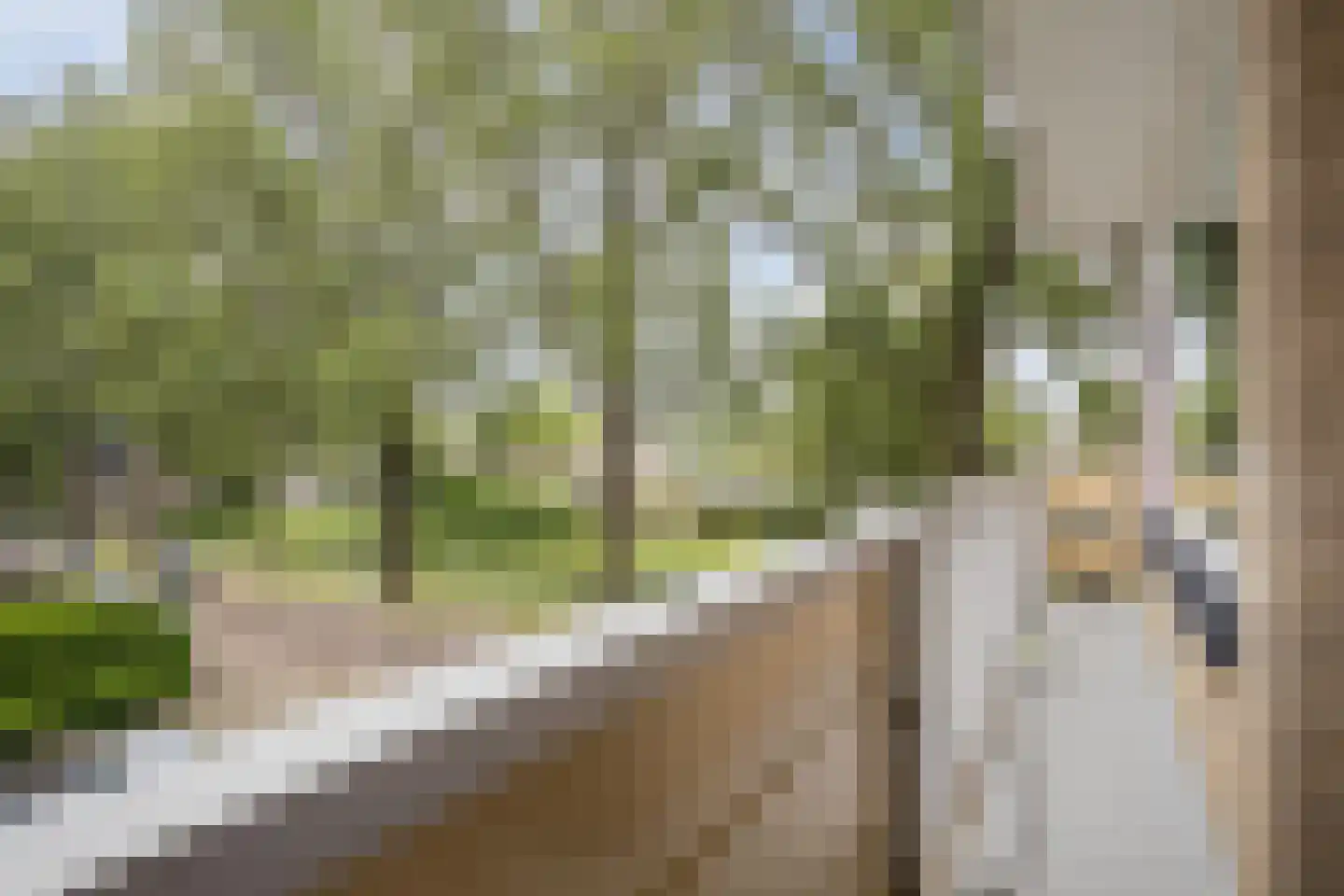 Hakfortlaan 28 2 Arnhem thumbnail 35