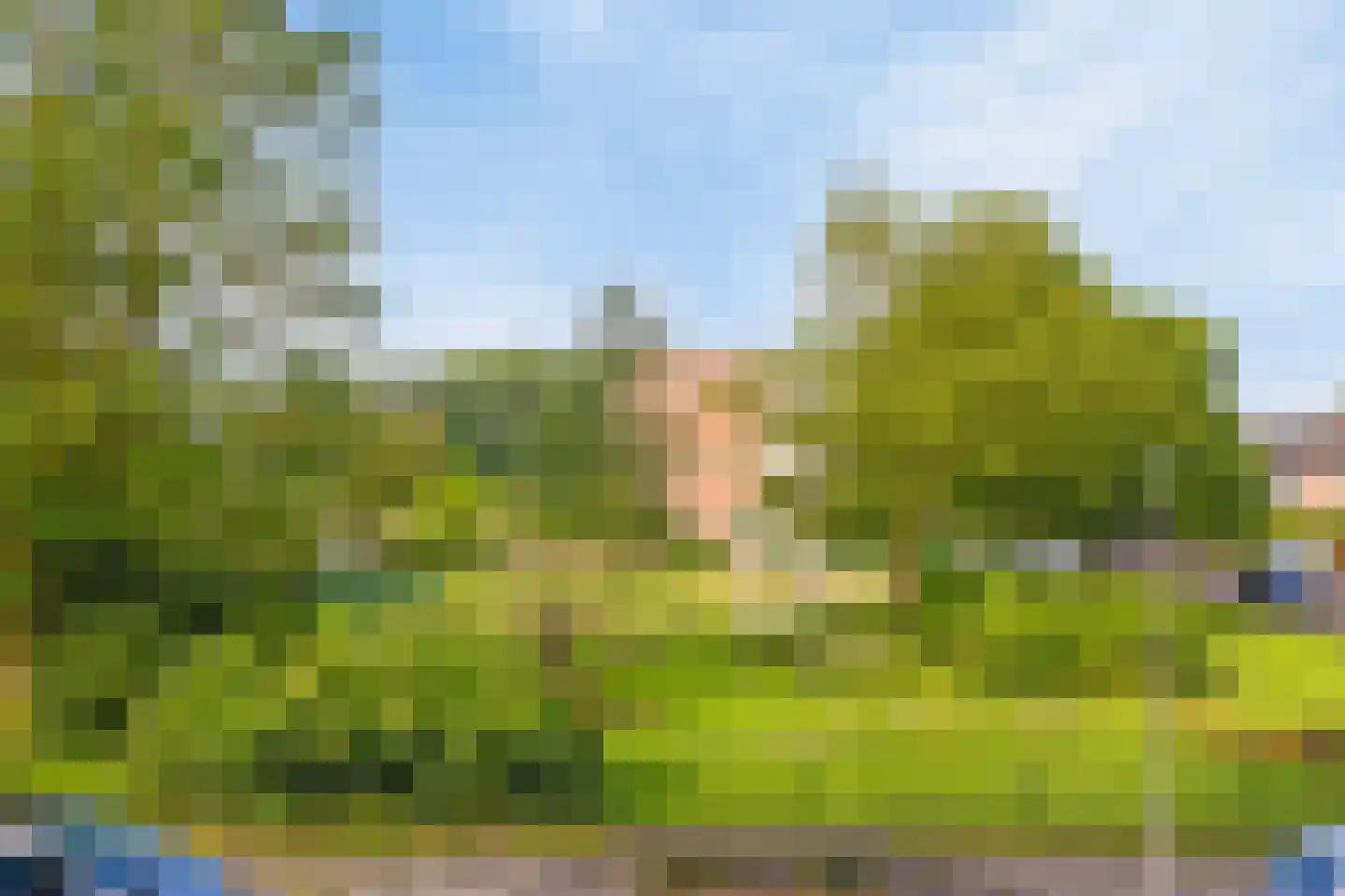 Hakfortlaan 28 2 Arnhem thumbnail 37
