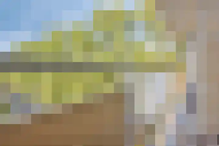 Hakfortlaan 28 5 Arnhem thumbnail 18