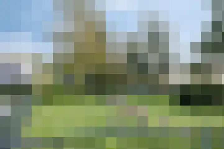 Hakfortlaan 28 5 Arnhem thumbnail 31