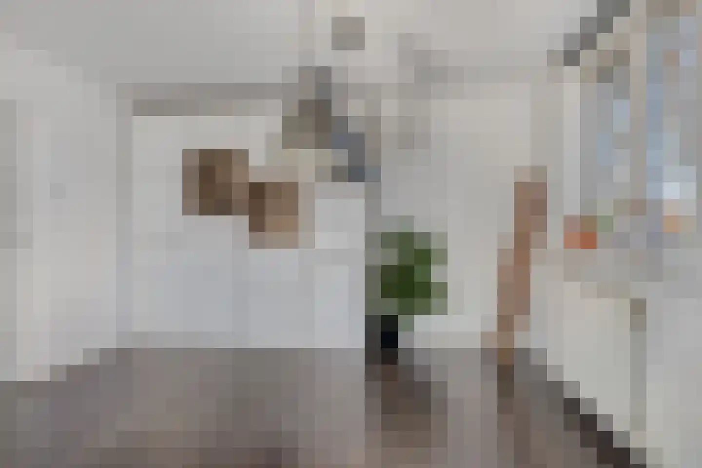 Hakfortlaan 32 1 Arnhem thumbnail 17