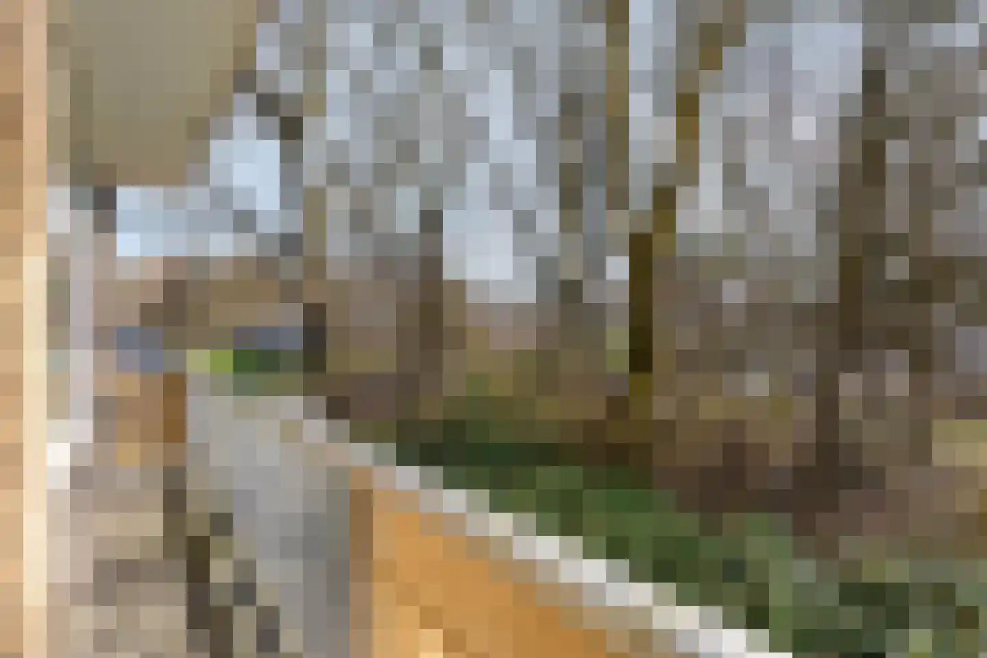 Hakfortlaan 32 1 Arnhem thumbnail 22