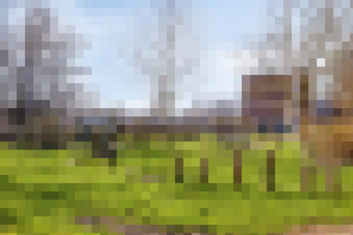 Hakfortlaan 32 1 Arnhem thumbnail 33