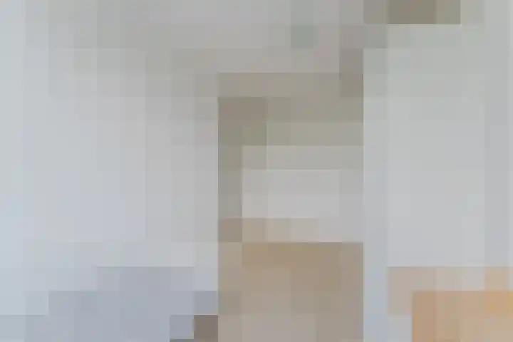 Hakhorst 16 Leusden thumbnail 25
