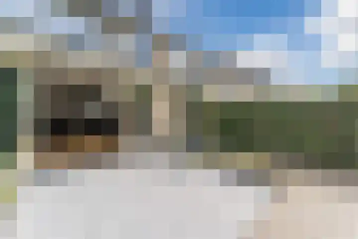 Hakhorst 16 Leusden thumbnail 41