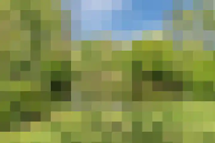 Hakhorst 16 Leusden thumbnail 48