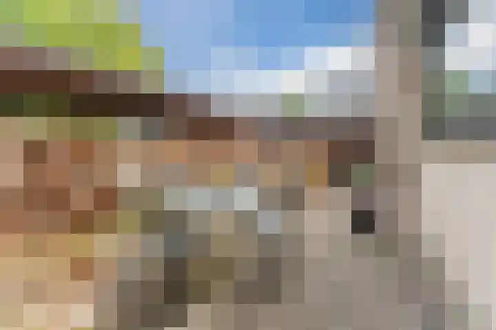Hakhorst 16 Leusden thumbnail 7