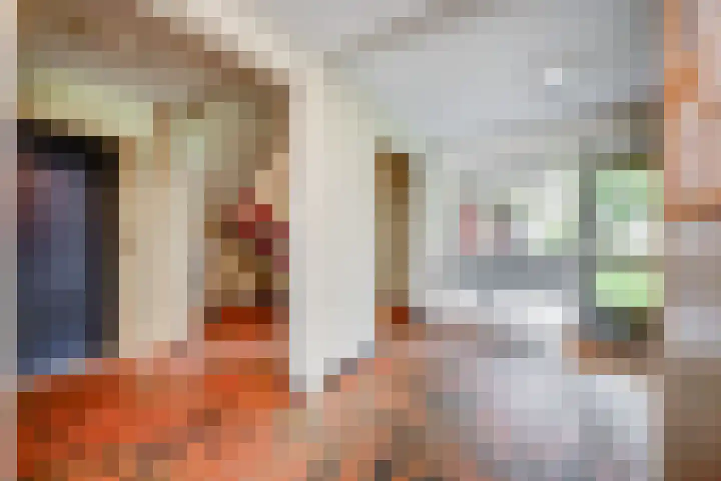 Hakkelerkampstraat 3 III Winterswijk thumbnail 7