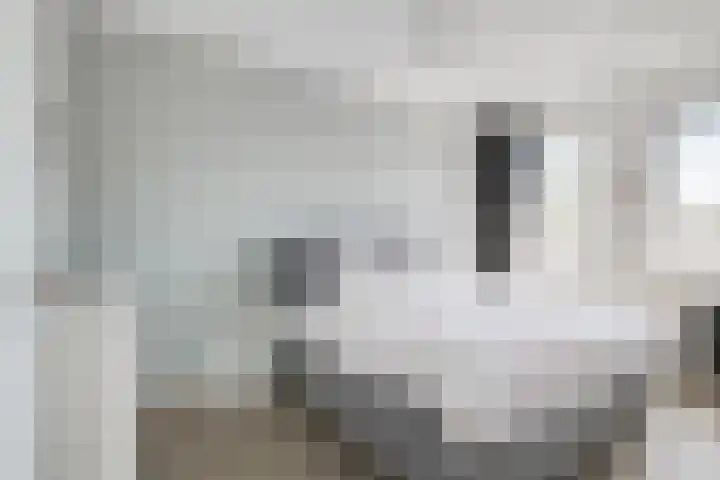 Hakkelerkampstraat 79 Winterswijk thumbnail 21