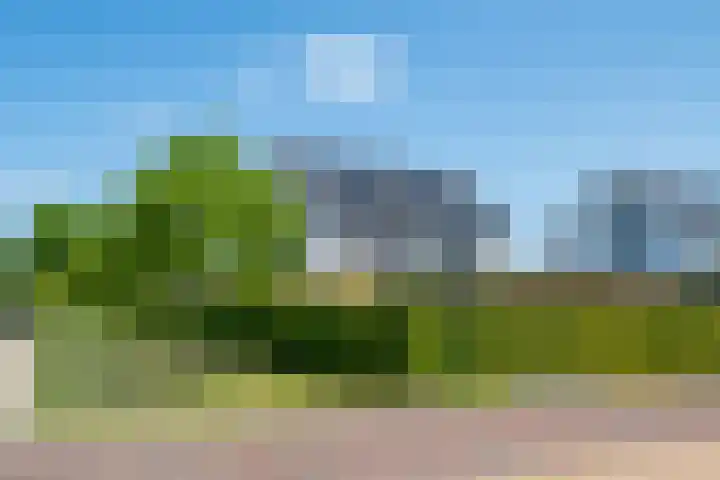 Hakkelerkampstraat 79 Winterswijk thumbnail 7