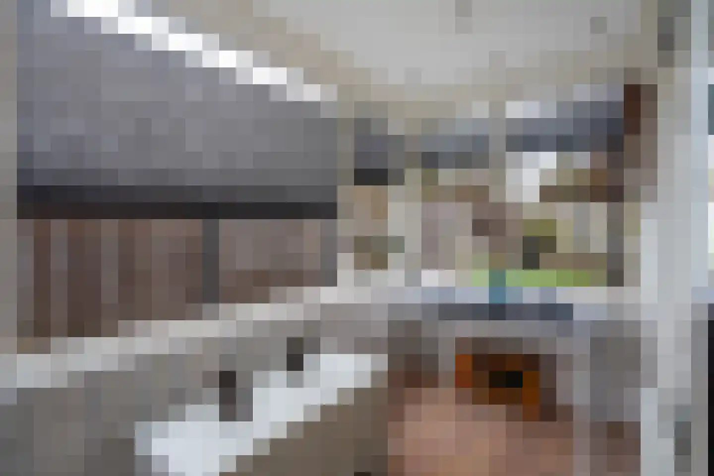 Hakschaer 20 Putten thumbnail 20