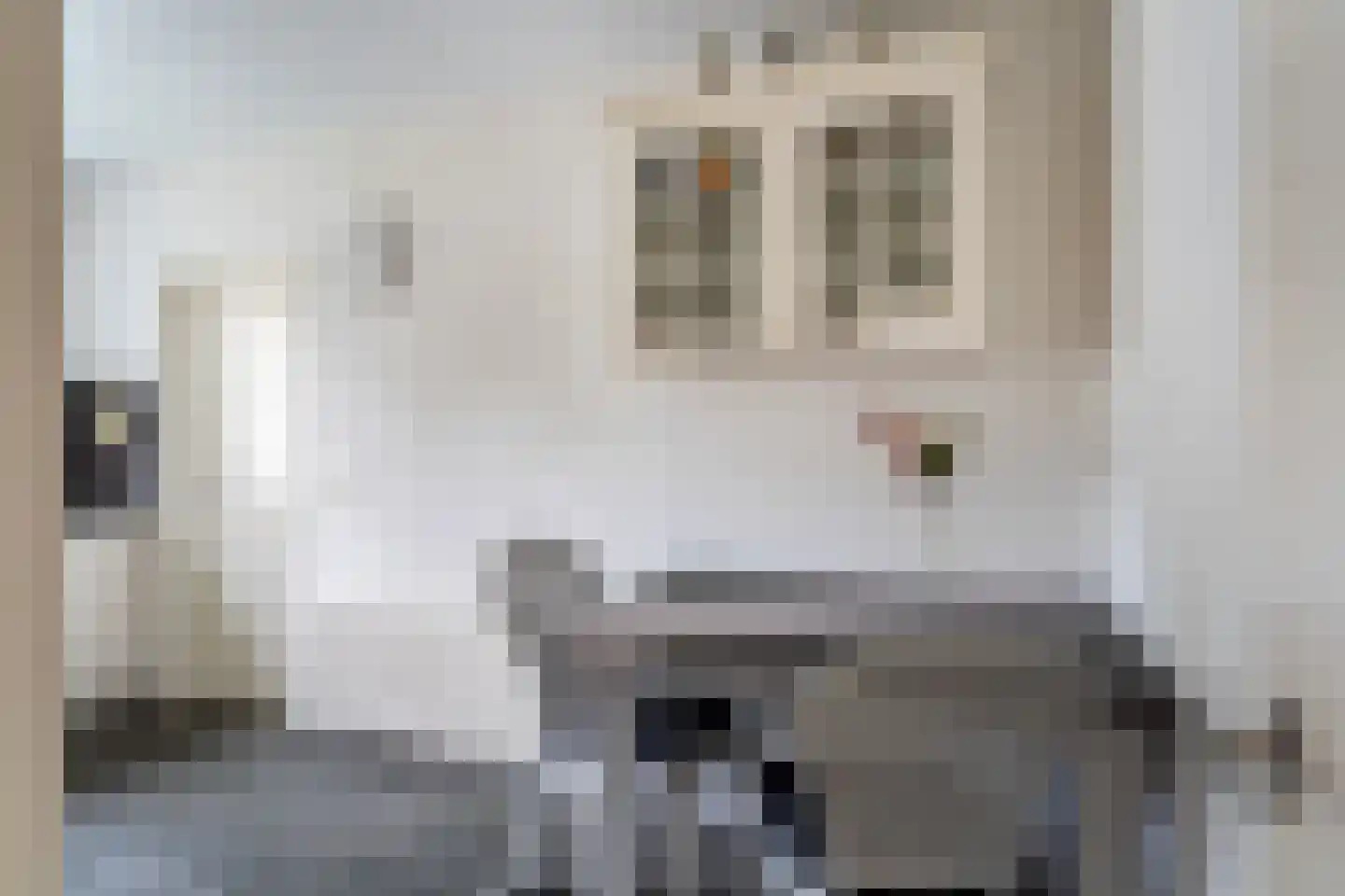 Hakschaer 20 Putten thumbnail 22