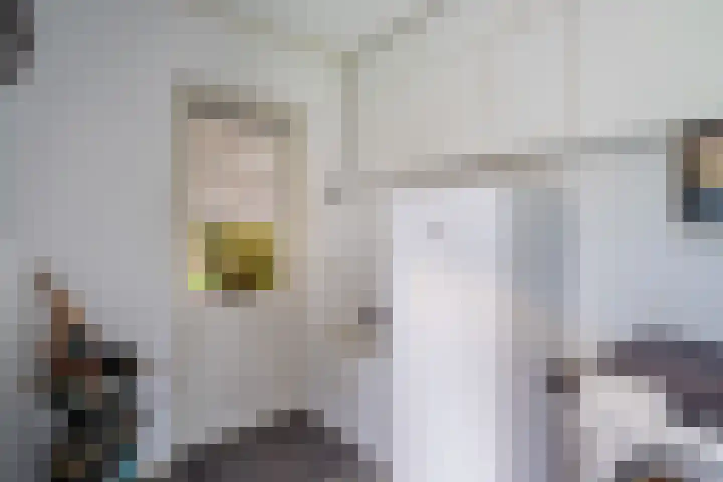 Hakschaer 20 Putten thumbnail 27