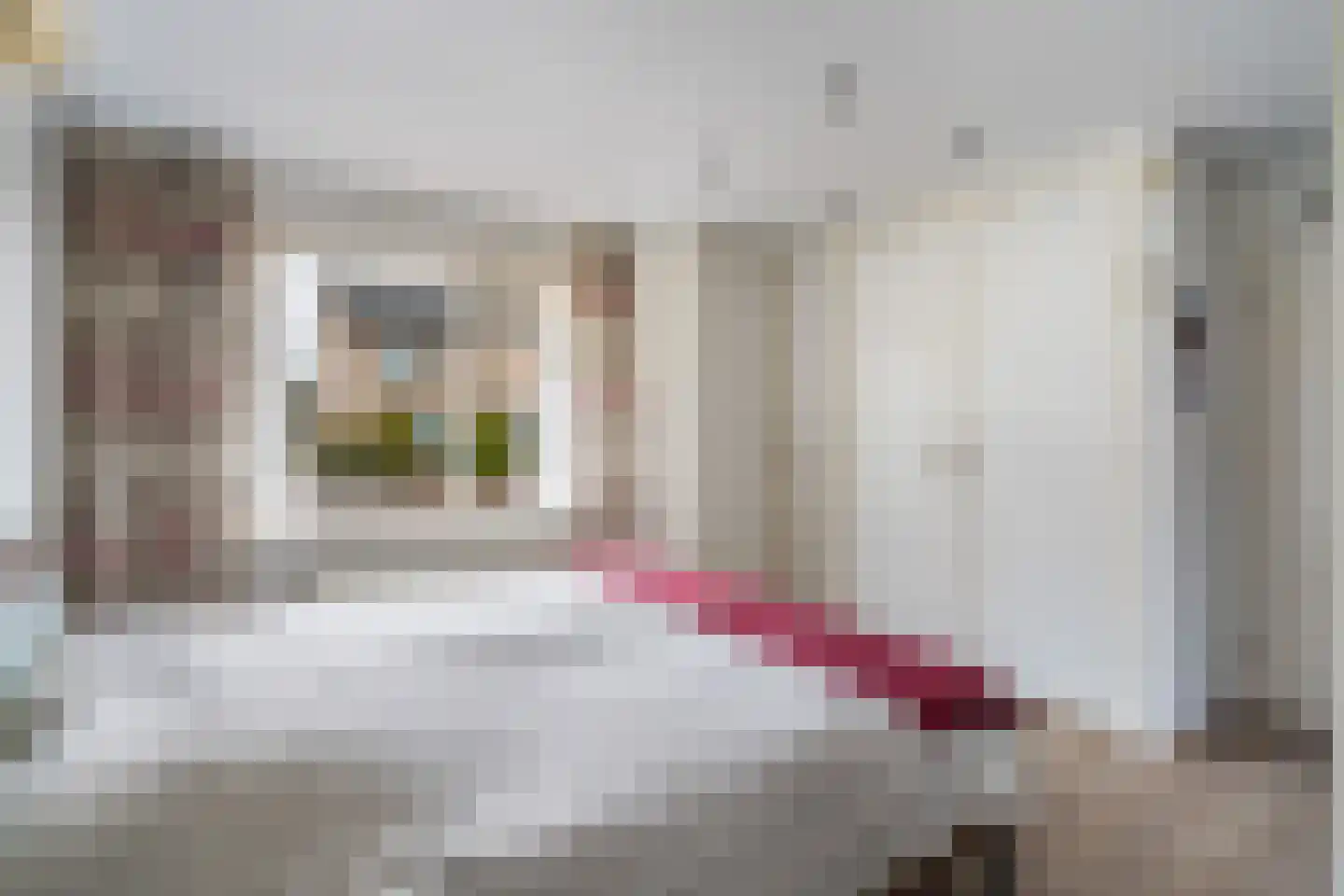 Hakschaer 20 Putten thumbnail 29