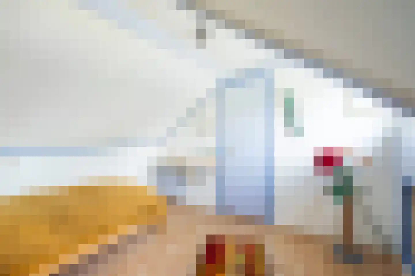 Hakschaer 20 Putten thumbnail 39