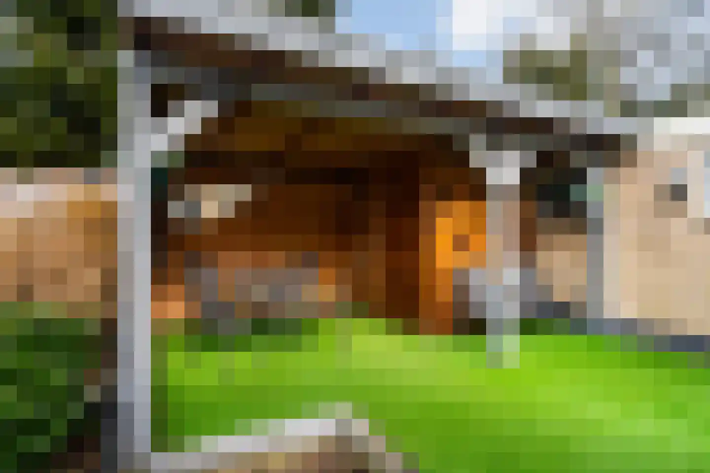 Hakschaer 20 Putten thumbnail 47