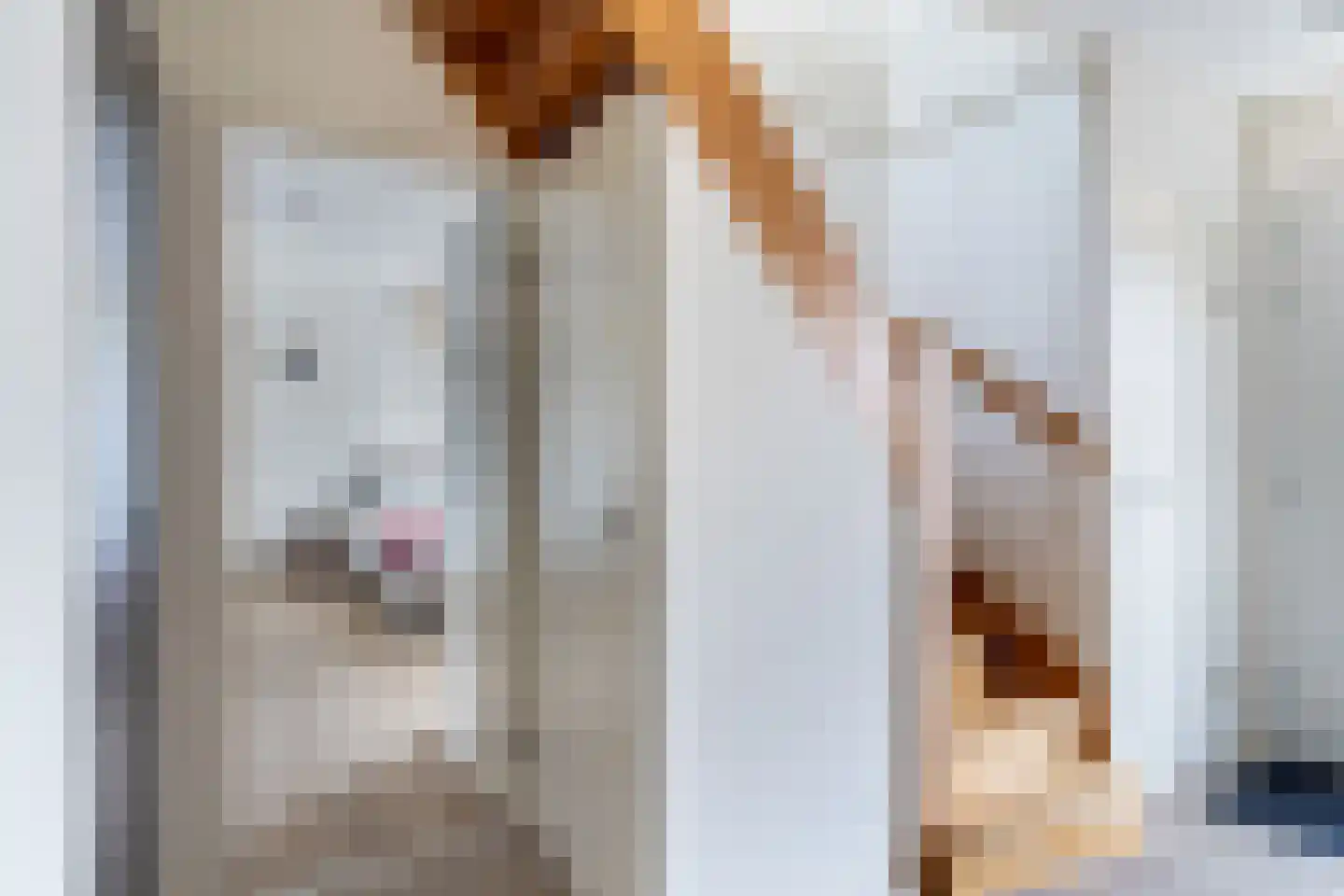 Hakschaer 20 Putten thumbnail 5
