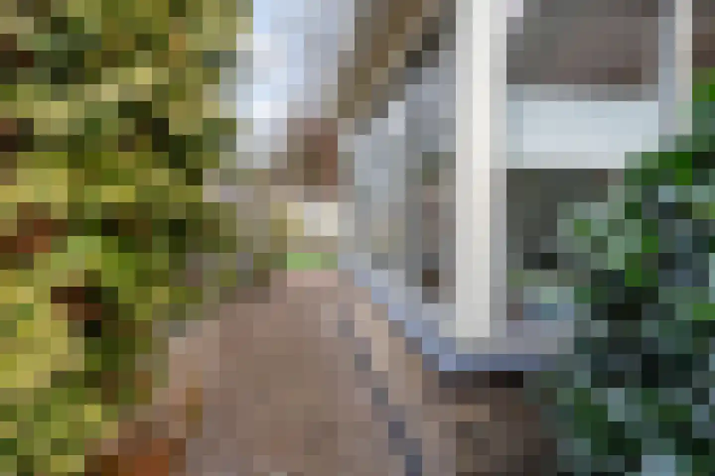 Hakschaer 20 Putten thumbnail 54
