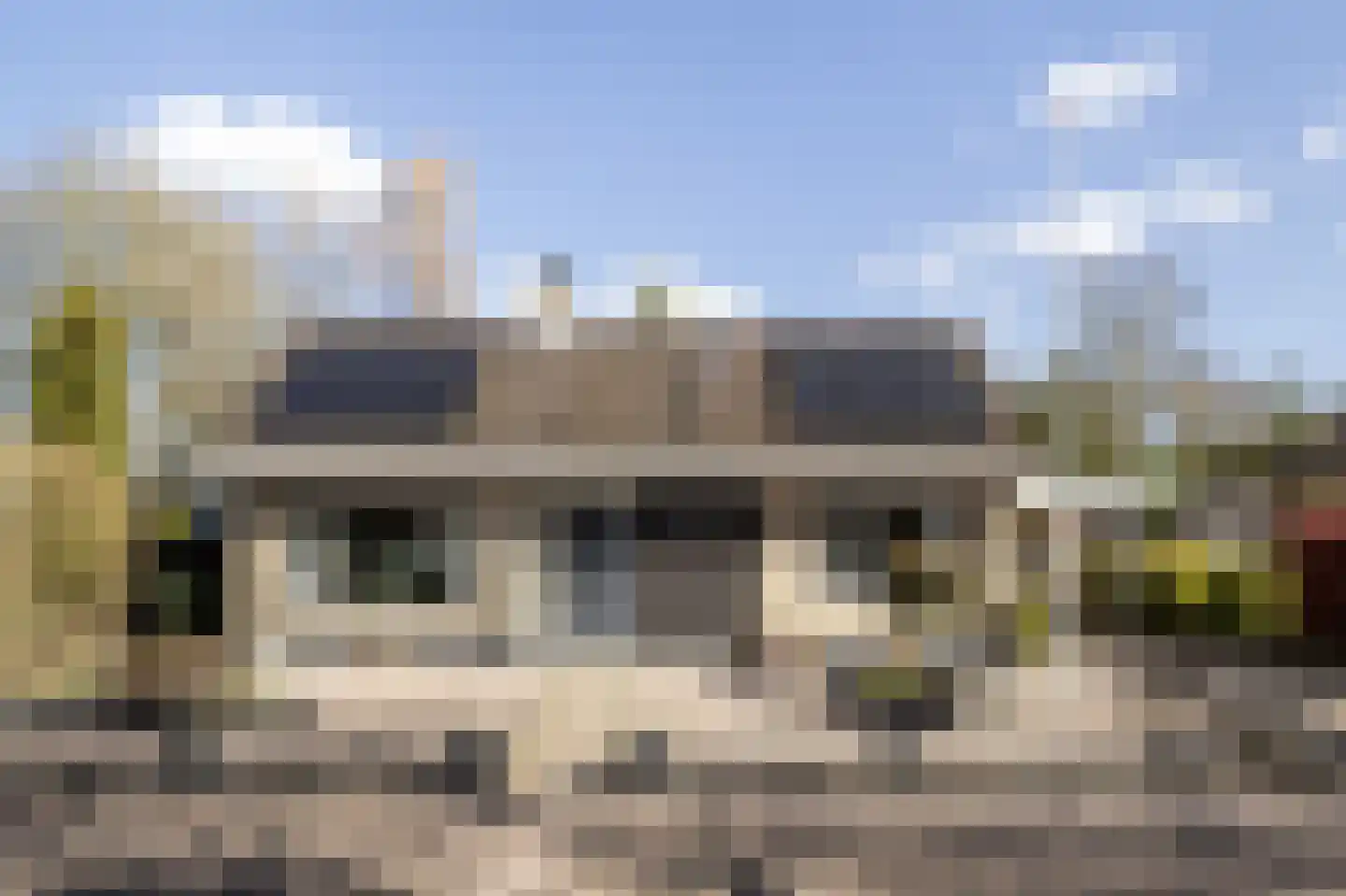 Hakschaer 20 Putten thumbnail 55