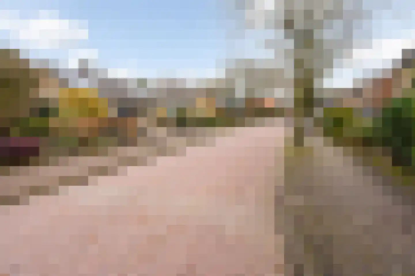 Hakschaer 20 Putten thumbnail 62