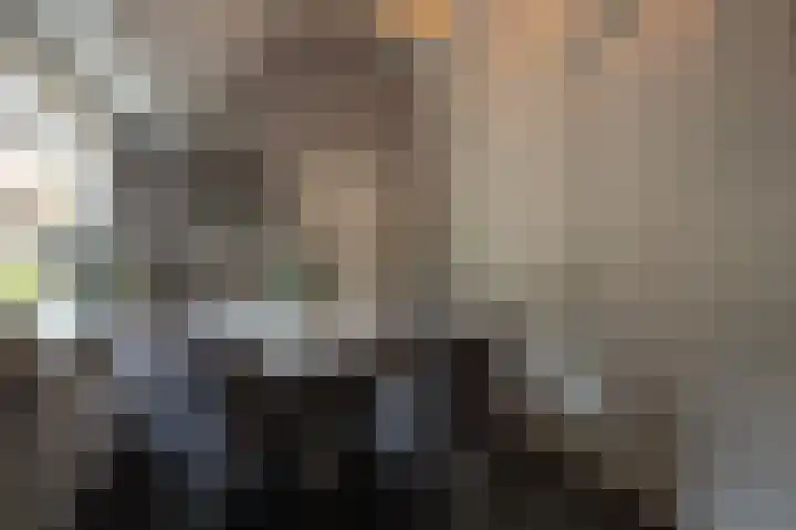 Hakschaer 6 Putten thumbnail 11