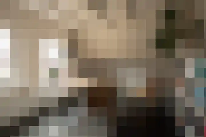 Hakschaer 6 Putten thumbnail 16