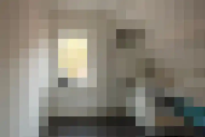Hakschaer 6 Putten thumbnail 17