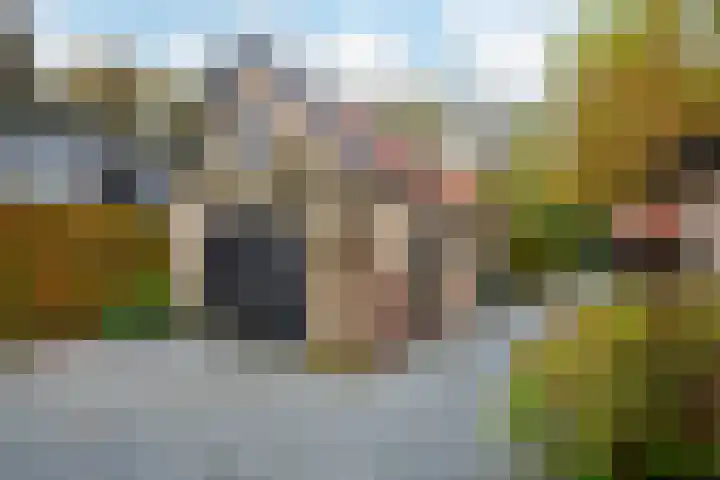 Hakschaer 6 Putten thumbnail 23