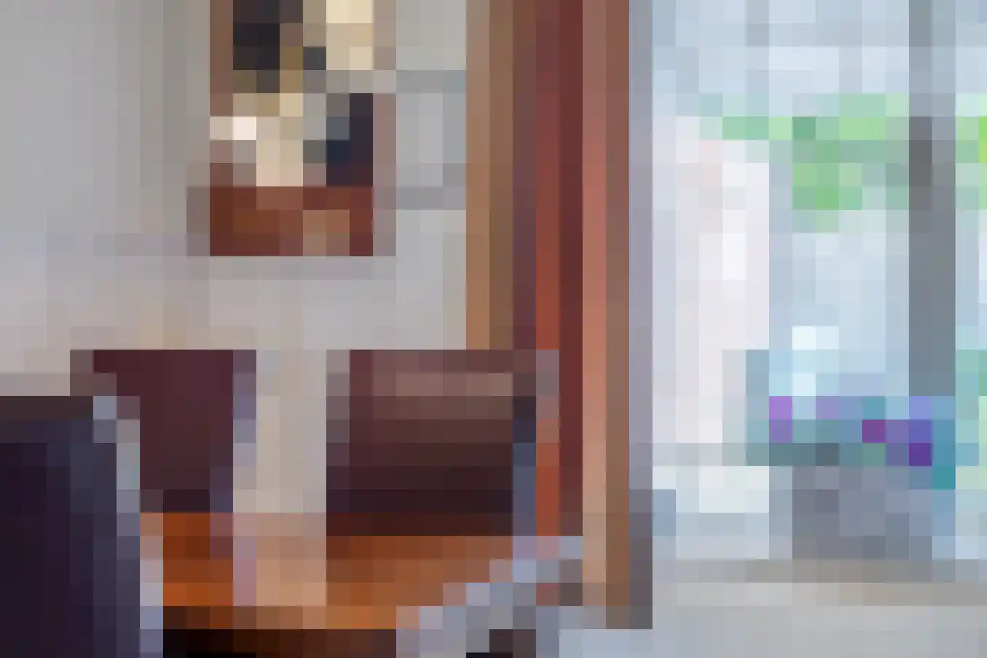 Hakselaar 15 Denekamp thumbnail 11