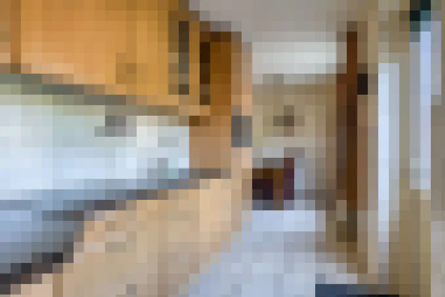 Hakselaar 15 Denekamp thumbnail 12