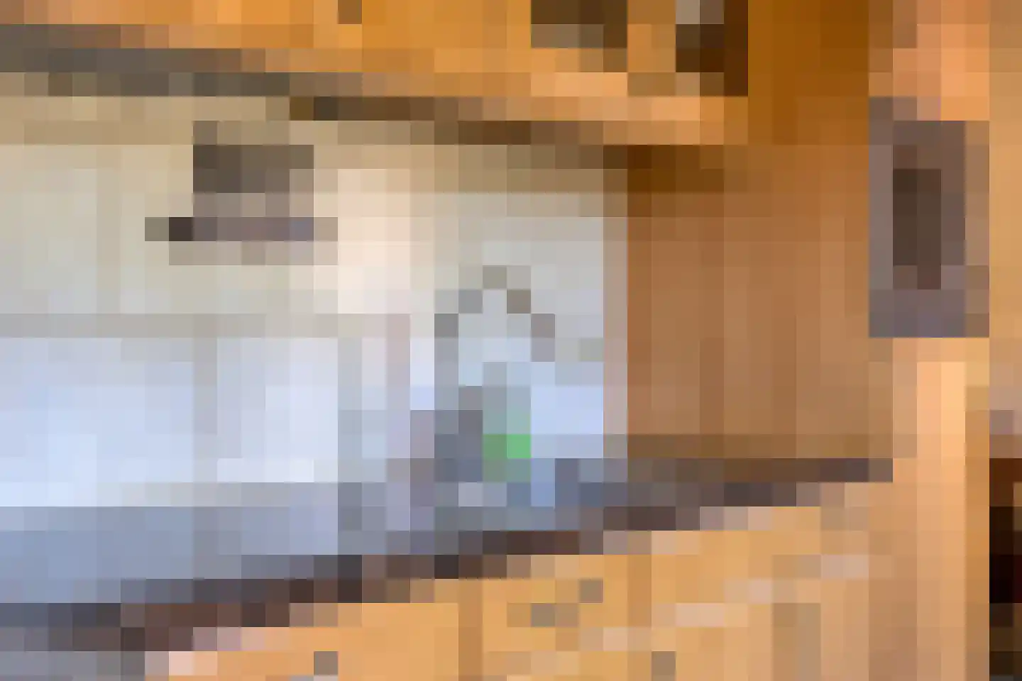 Hakselaar 15 Denekamp thumbnail 14
