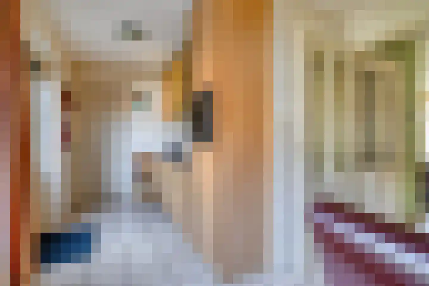 Hakselaar 15 Denekamp thumbnail 15