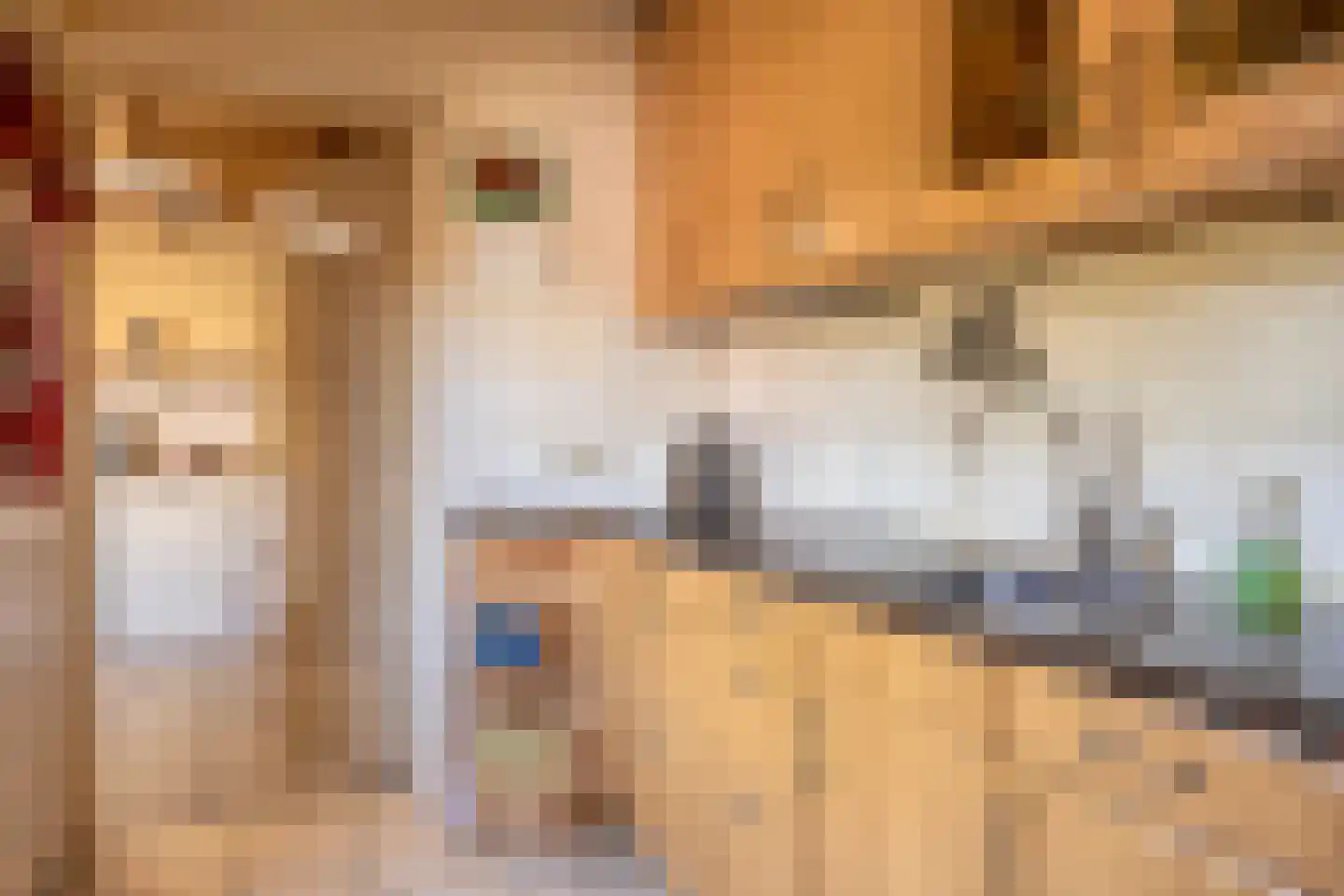 Hakselaar 15 Denekamp thumbnail 16